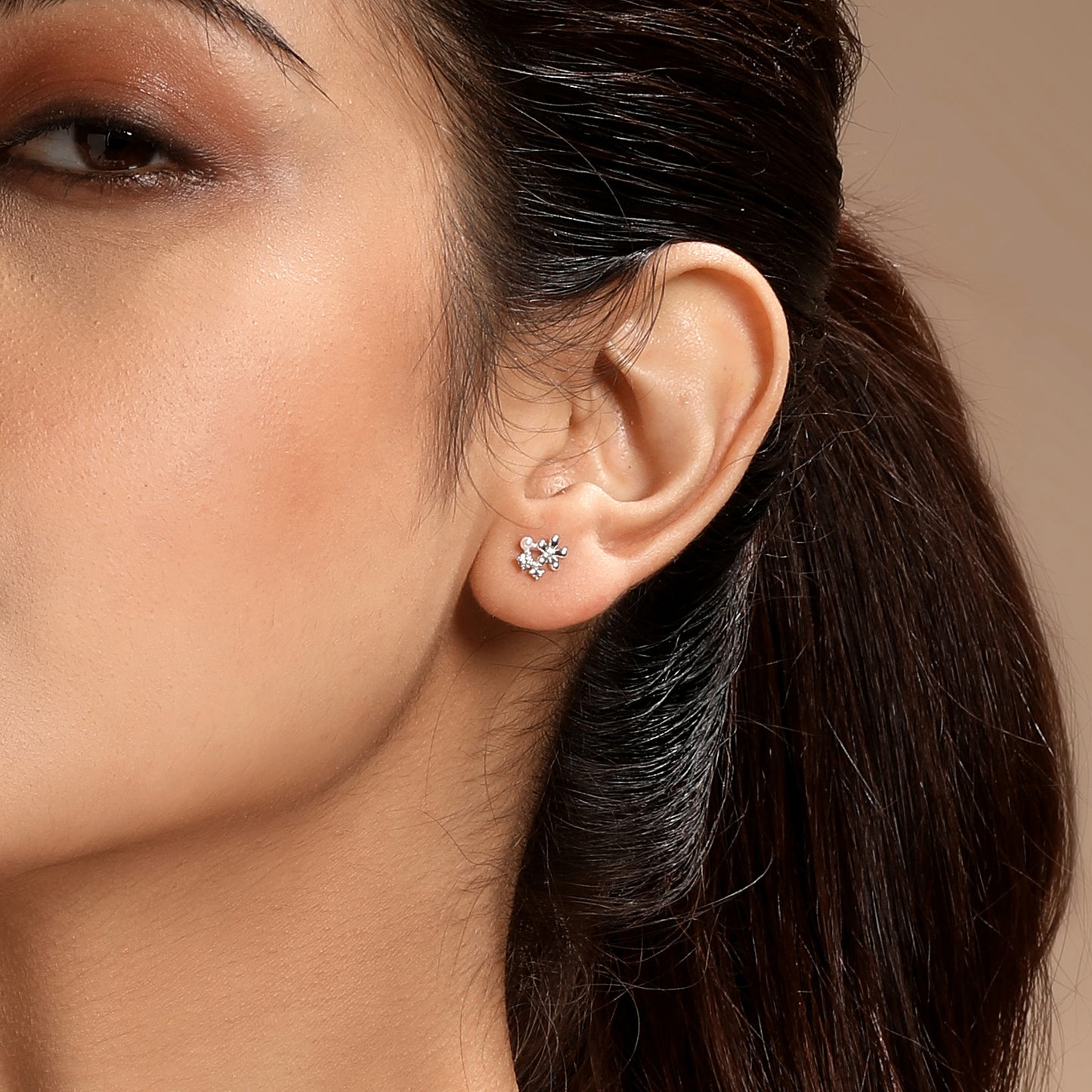 Charm Nest Butterfly Design Silver Plated Zircon Set Of 3 Stud Earring